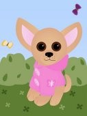the-small-darling-dog-in-pink-