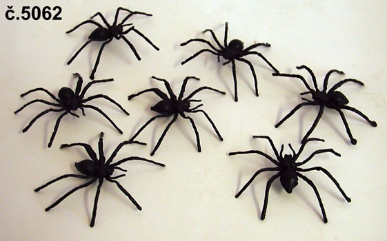 1Pavouk_plast_vetsi_5062_inter