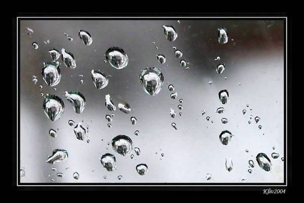 70b97f0154_13717894_o2