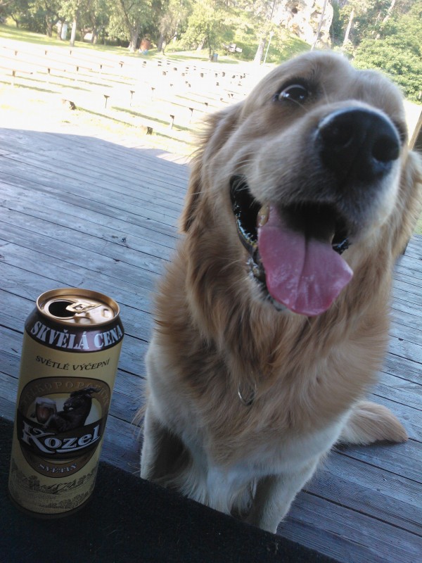 message635098726518090000out